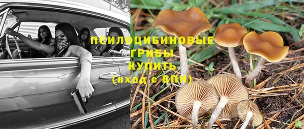 a pvp Белокуриха