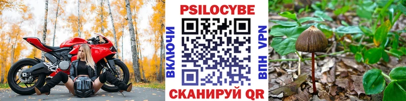 Купить закладки  Усть-Лабинск  Галлюциногенные грибы Cubensis 